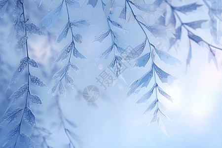冬季的树枝图片