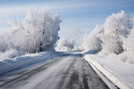 公路雪地冬日公路背景