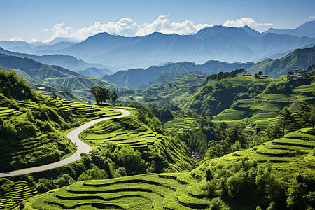 山脉上的梯田和公路图片