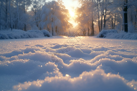 美丽的雪景图片