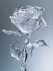 冰雕玫瑰的魅力图片