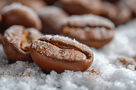 冰雪中的咖啡豆图片