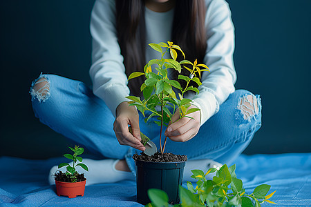 女人摆弄绿植背景图片