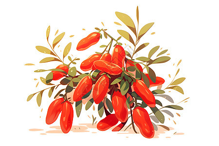 红色枸杞和绿叶背景图片