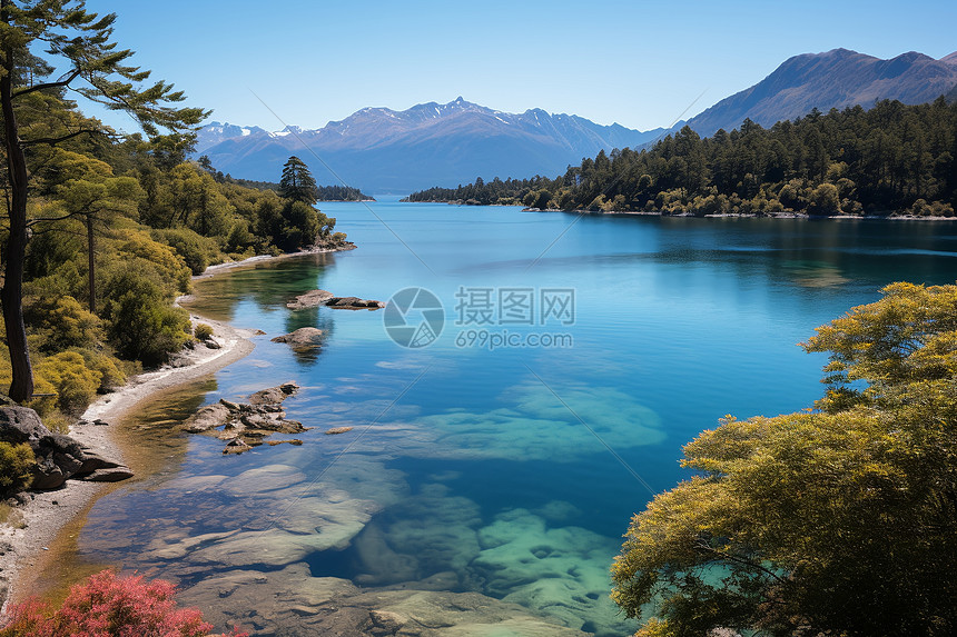 美丽的湖泊风景图片