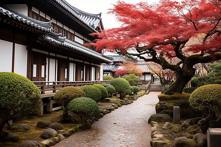 红叶掩映的日本庭园图片