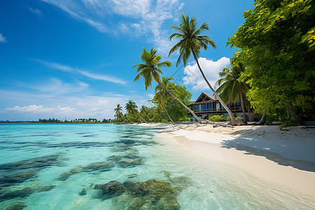 热带岛屿翡翠的沙滩美景背景