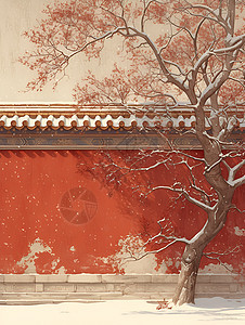 红墙与雪中梅花图片