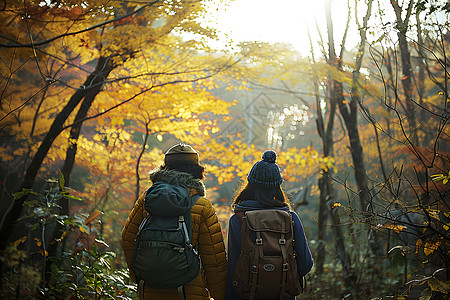 恋人旅行秋日林间的恋人背景