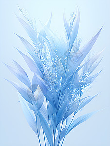 蓝色的植物图片