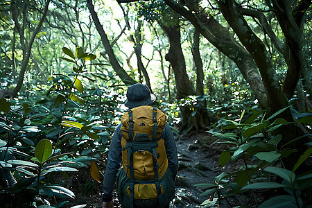 森林中的背包旅人图片