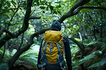 森林中的背包客图片