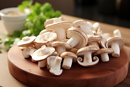 营养美味的蘑菇图片