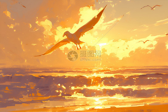日落下的海鸥海洋图片
