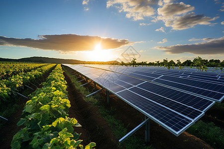 未来农业中的太阳能板图片