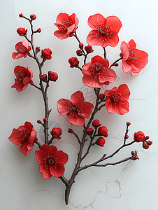 枝干上的红花图片