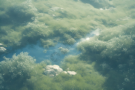 翠绿林间河水流过图片