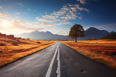 户外风景户外的公路背景