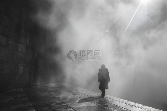 迷雾中的徘徊者图片