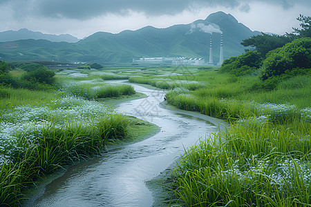 蜿蜒的溪流图片