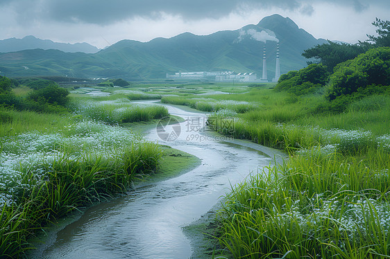 蜿蜒的溪流图片