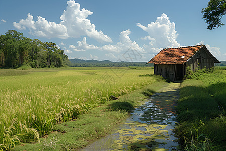 田野间的小屋图片