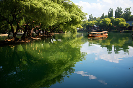 大树矢量图湖面上的木船背景