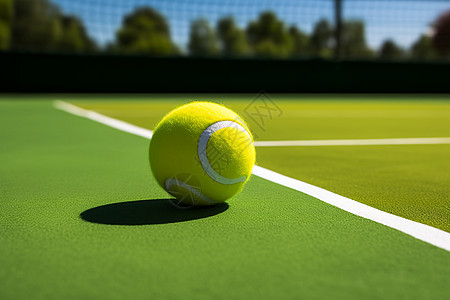 网球在网球场上图片