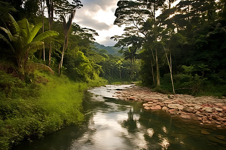 翠绿森林中流淌着一条河流图片
