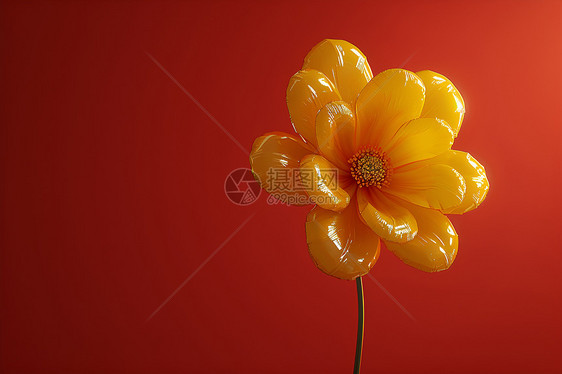 花朵形状的充气气球图片