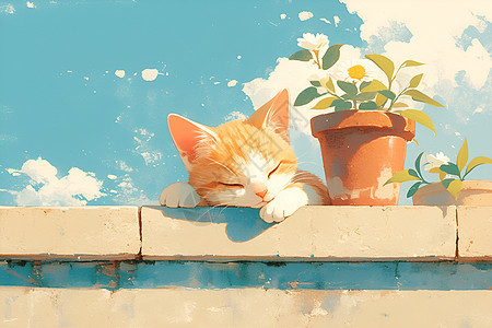 猫咪与花盆的清新场景图片