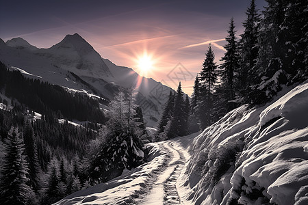 冬日夕阳下的雪路图片