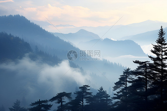 迷雾缥缈的山谷图片