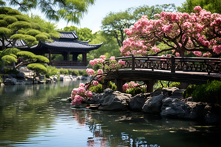 黄焖古典园林中的瑶黄牡丹背景