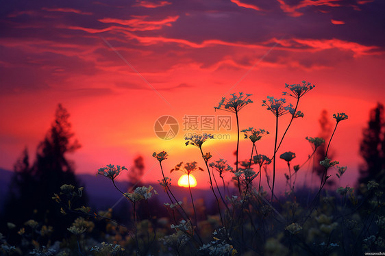 夕阳余晖中的景色图片