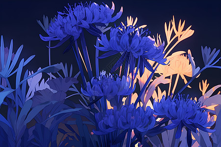 月夜中的一片蓝花图片