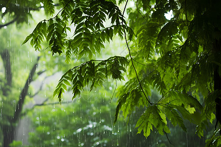 磅礴的雨水图片