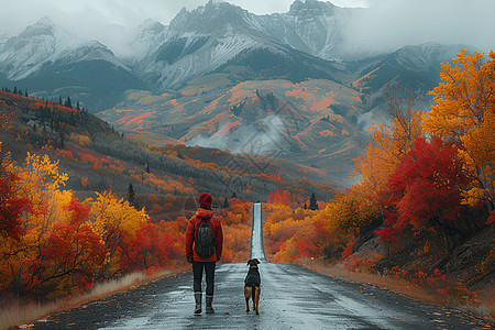 公路上的人和狗背景