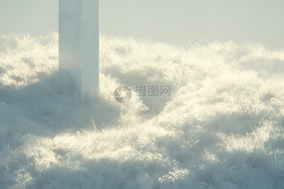 覆盖了雪的草地图片