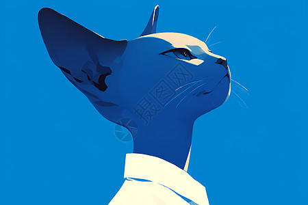 蓝色宠物猫图片