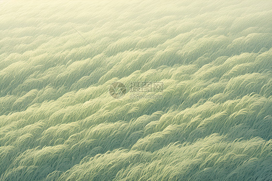 绵延的绿浪图片