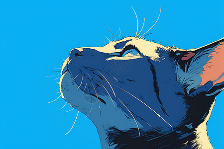 可爱的蓝猫插画图片