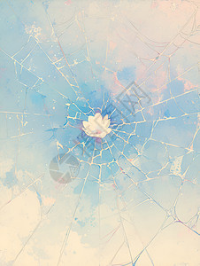 蜘蛛网里的花图片