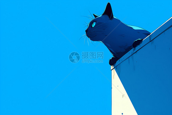 墙壁上的猫咪图片