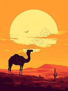 沙漠夕阳下的骆驼图片