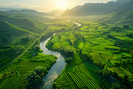 自然风景插画山谷中的绿色田野背景