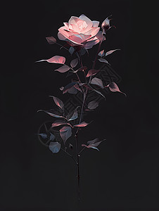 玫瑰的艺术之美图片