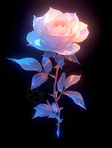 蓝光下的白玫瑰图片