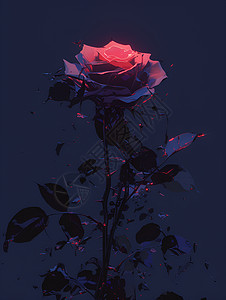 玫瑰花的梦幻插画图片