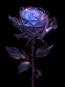 一朵紫色玫瑰图片